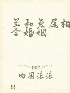 羊和兔属相合不合婚姻