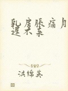 乳房胀痛月经迟迟不来