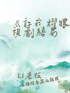 《许我耀眼》电视剧结局