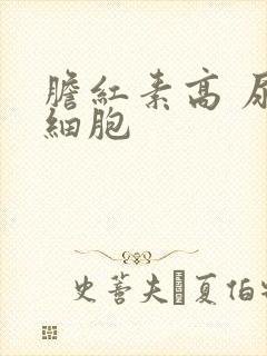 胆红素高 尿红细胞