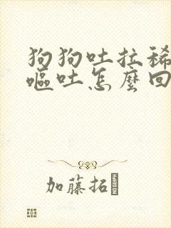 狗狗吐拉稀拉血呕吐怎么回事