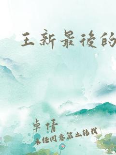 王新最后的结局