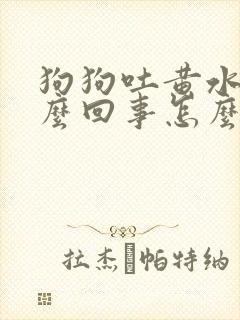 狗狗吐黄水是怎么回事怎么办