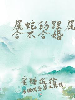 属蛇的跟属龙的合不合婚