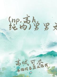 (np,高h,纯肉)男男文