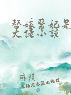 替嫁医妃是满级大佬小说