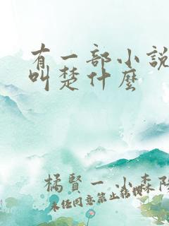 有一部小说主角叫楚什么