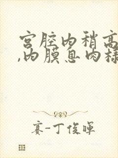 宫腔内稍高回声,内膜息肉样病变