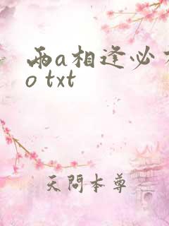 两a相逢必有一o txt