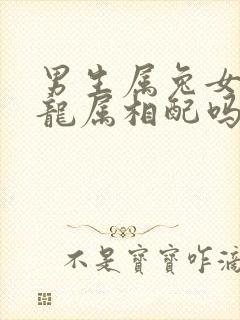 男生属兔女生属龙属相配吗