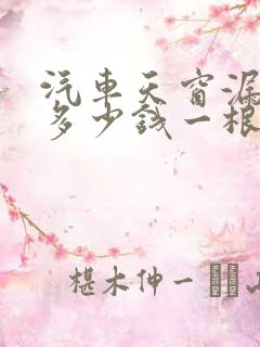 汽车天窗漏水管多少钱一根