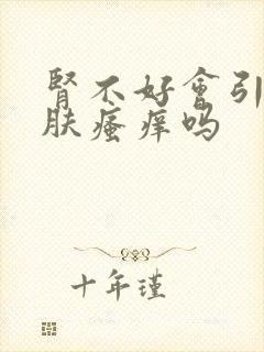 肾不好会引起皮肤瘙痒吗