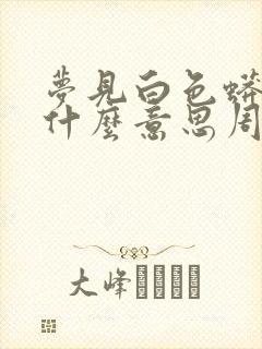 梦见白色蟒蛇是什么意思周公解梦