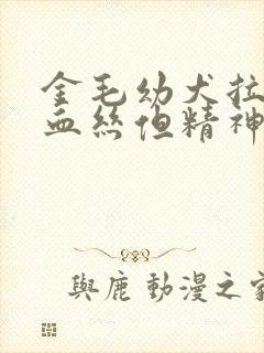 金毛幼犬拉稀带血丝但精神很好