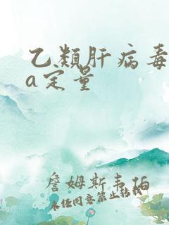 乙类肝病毒dna定量