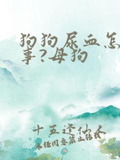 狗狗尿血怎么回事?母狗