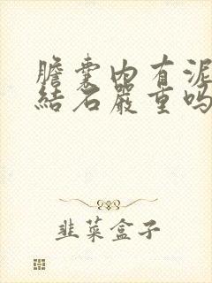 胆囊内有泥沙状结石严重吗