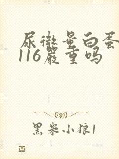尿微量白蛋白高116严重吗