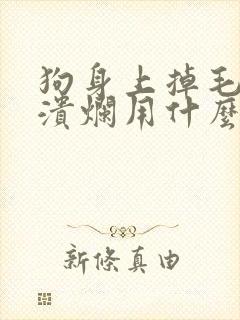 狗身上掉毛皮肤溃烂用什么药