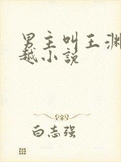 男主叫王渊的穿越小说