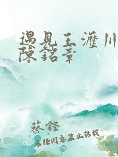 遇见王沥川导演陈铭章