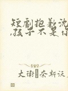 短剧抱歉沈先生,孩子不是你的免费观看