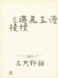 《遇见王沥川》后续