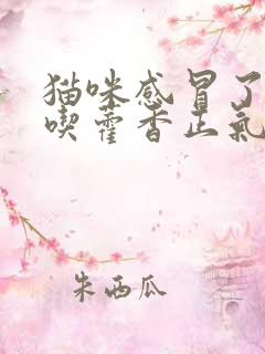 猫咪感冒了可以吃藿香正气液吗