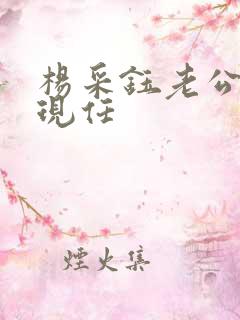 杨采钰老公是谁现任