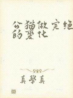 公猫做完绝育后的变化