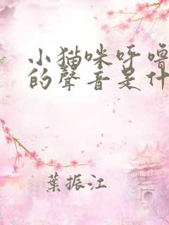 小猫咪呼噜呼噜的声音是什么意思