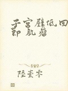 子宫壁低回声结节 肌瘤