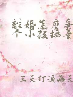 离婚怎么争取两个小孩抚养权