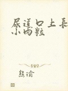 尿道口上长一圈小肉粒