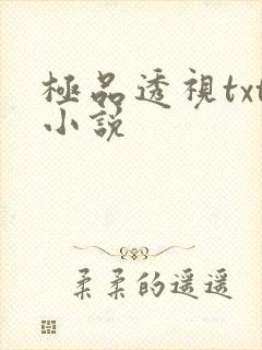 极品透视txt小说