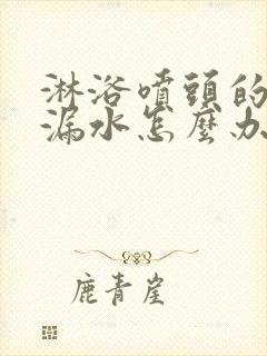 淋浴喷头的管子漏水怎么办