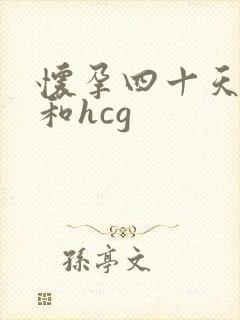 怀孕四十天孕酮和hcg