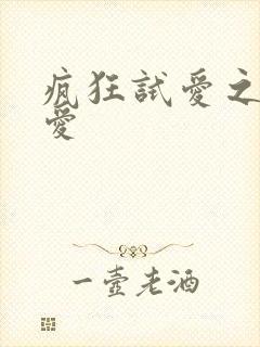 疯狂试爱之勇敢爱
