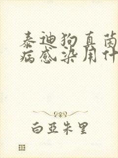 泰迪狗真菌皮肤病感染用什么药