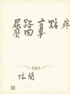 尿路有点疼是怎么回事