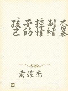 孩子控制不住自己的情绪暴躁怎么办