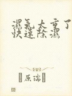 湿气太重了如何快速除湿