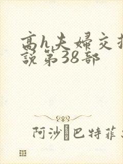 高h夫妇交换小说第38部