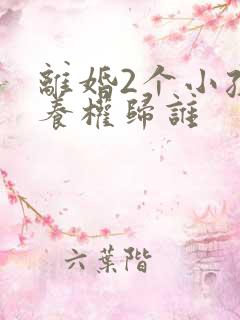 离婚2个小孩抚养权归谁