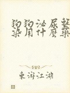 狗狗泌尿系统感染用什么药效果好