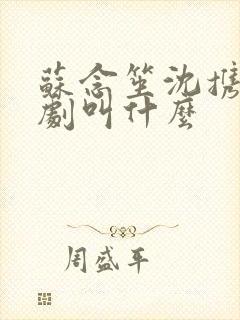 苏念笙沈携西短剧叫什么