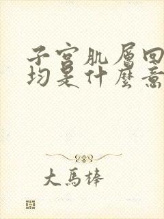 子宫肌层回声欠均是什么意思