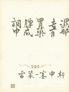 调脾胃去湿气的中成药有哪些