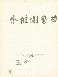 脊椎侧弯带支具