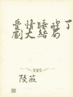 爱情睡醒了电视剧大结局